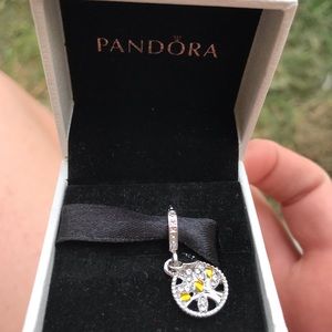 Pandora charm